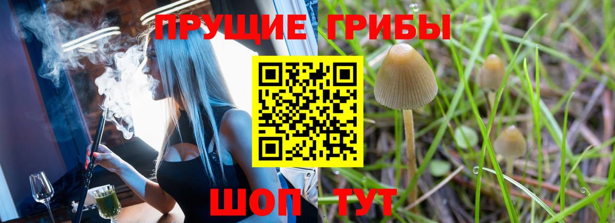 Галлюциногенные грибы ЛСД  Вход с VPN  Псилоцибиновые грибы Cubensis  Красноармейск 
